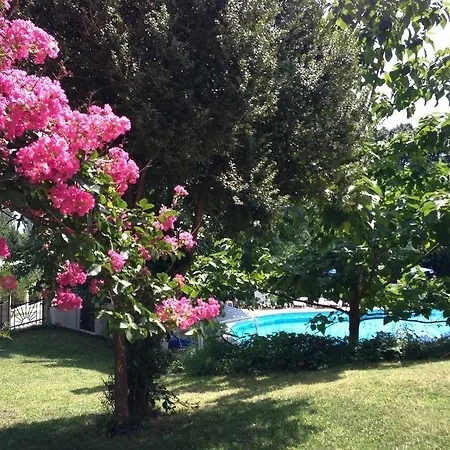 Vezhen - Free Parking